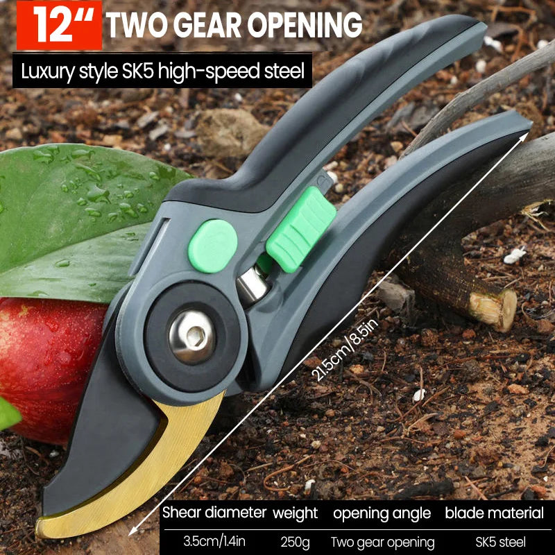 🌱 AIRAJ Garden Pruning Shears & Folding Saw Set Horticulture Tools for Shrub Trimming, Orchard Maintenance & Landscaping